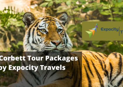 jimcorbett Tour Package