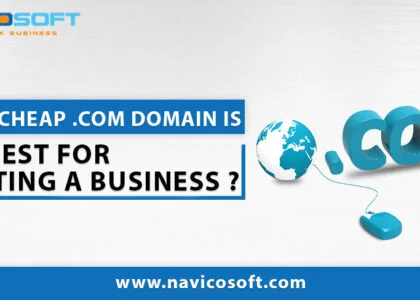 Why a cheap .com domain is the best for starting a business?