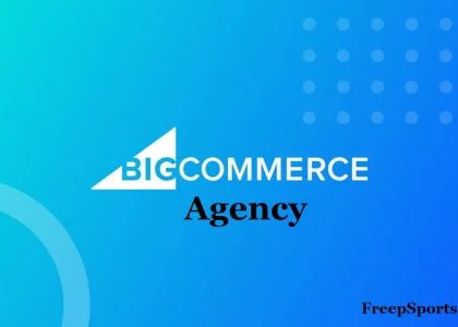 Elevate Your Online Store with BigCommerce Agency